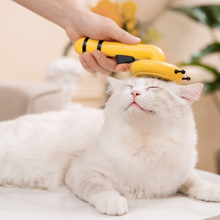 Hair Removal For Pet