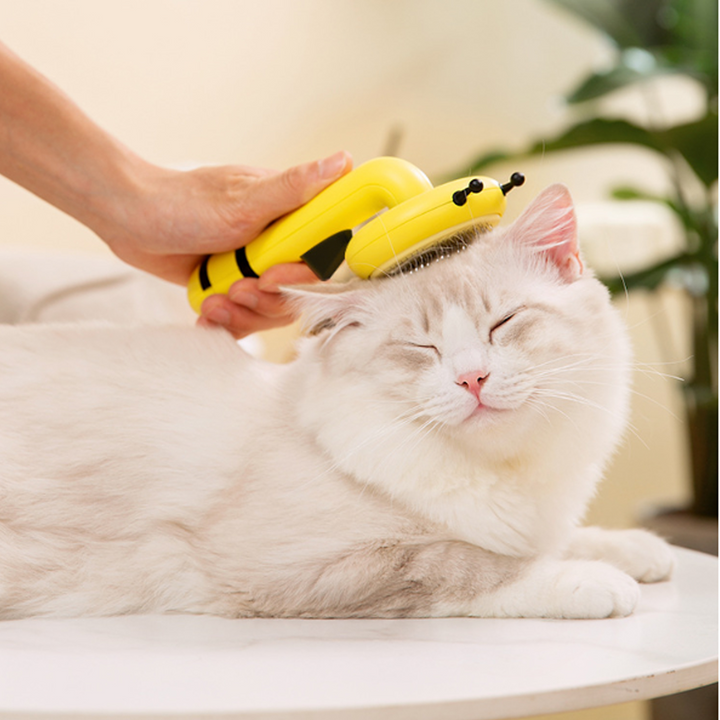Hair Removal For Pet